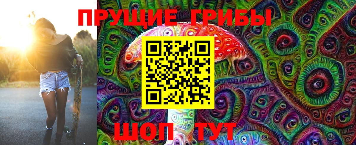 дарнет шоп  Галлюциногенные грибы мицелий  Псилоцибиновые грибы MAGIC MUSHROOMS  Вход с VPN  Краснокаменск 
